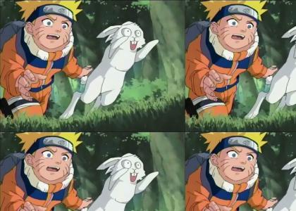 Naruto finds a New Pet...