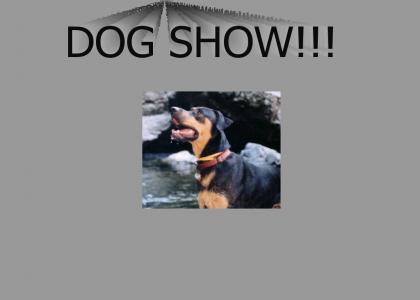 DOG SHOW