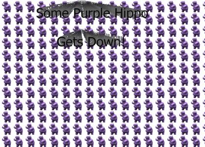Purple Hippo gets Down