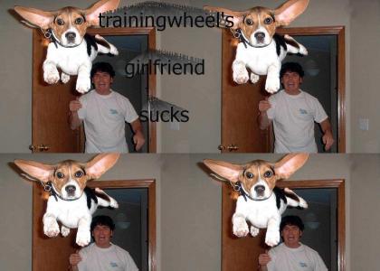 trainingwheels