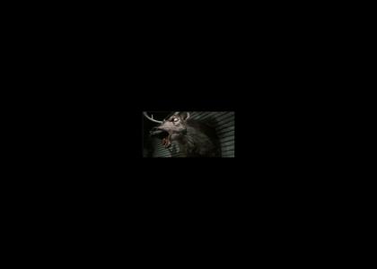 Evil Dead Deer Head Belts Out A Face Melter (Optimized in Firefox!!)