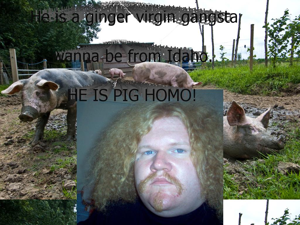 Pig-homo