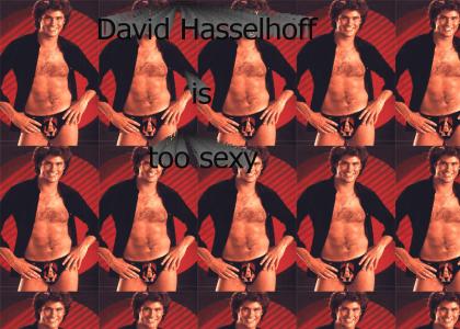 David Hasselhoff is too sexy