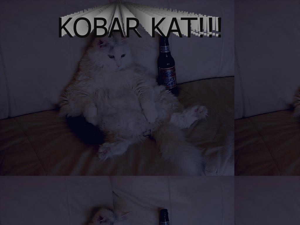 KobarCat