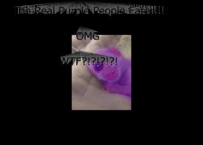 The Real Purple People Eater