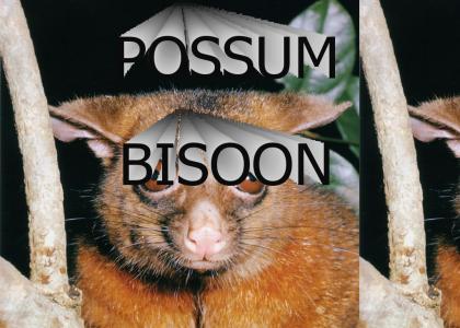 possumbisoon