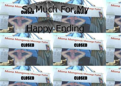 Massage Parlor happy ending