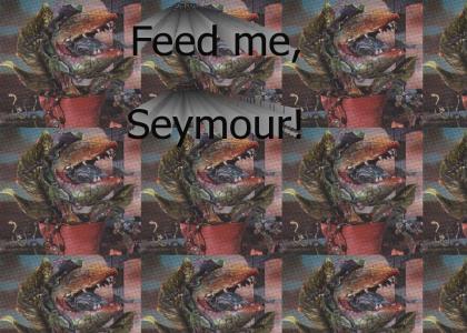 Feed me, Seymour!