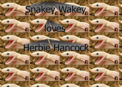 Snakey Wakey <3 Herbie Hancock