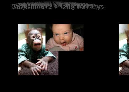 Humans > Monkeys