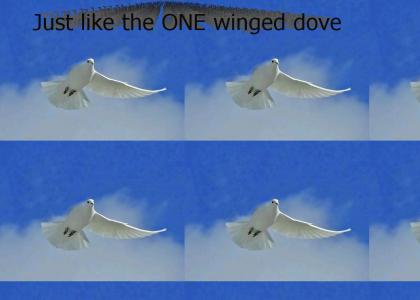 One Winged Dove