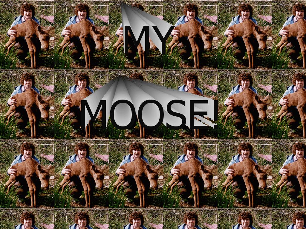 mymoose