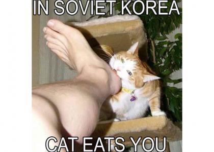 In Soviet Korea.......