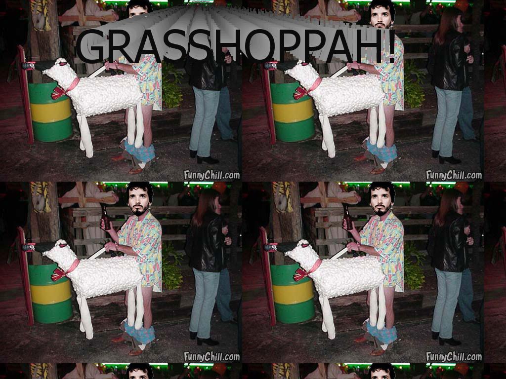 thegrashoppah