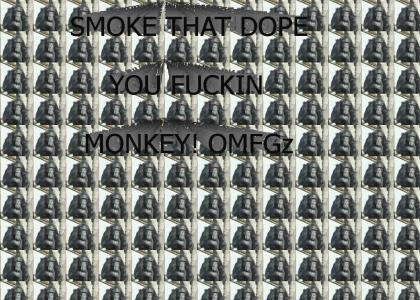 Everyone Smokes Cheeba even monkeys!