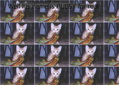BUBSY! PS3 version.
