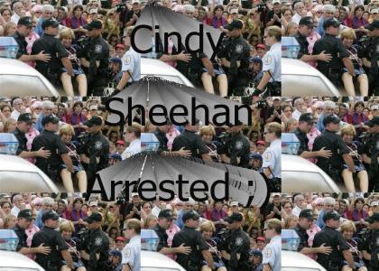 Cindy Sheehan gets arrested protesting!