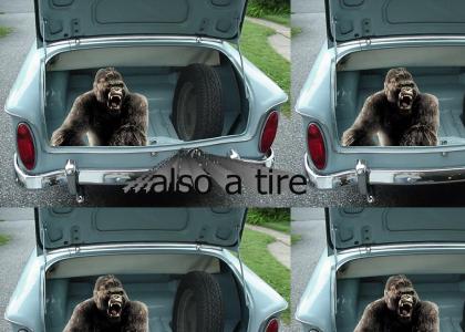 king kong in the trunk