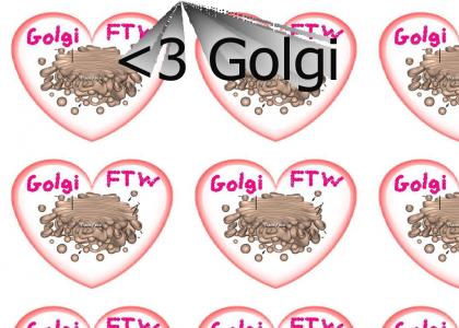 <3 Golgi Apparatus