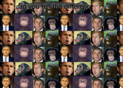 bush =monkey