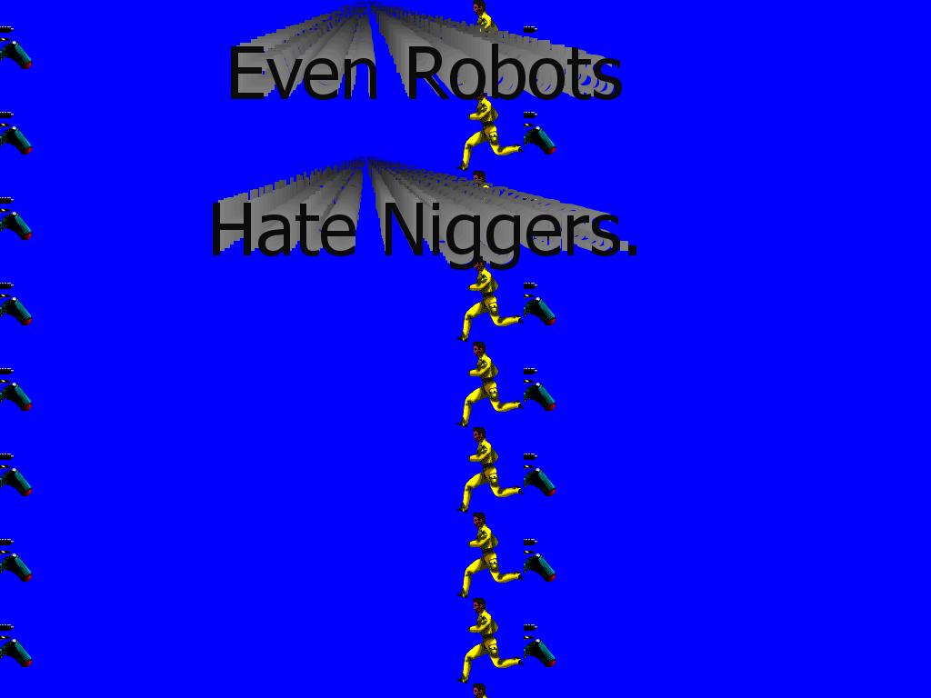 Niggerfun