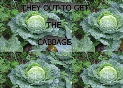 THEY OUT TO GET THE CABBAGE