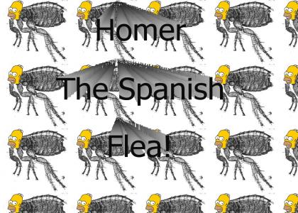 Homer The Spanish Flea