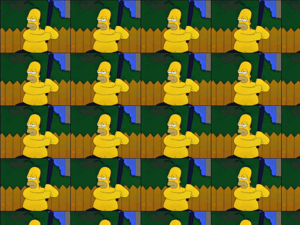 kungfoofighterhomer