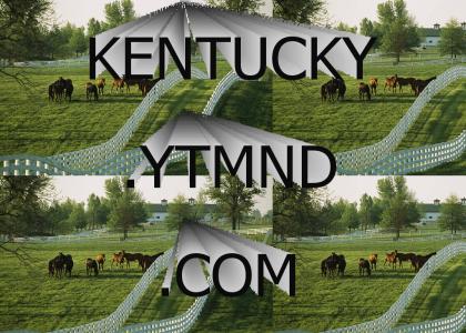 kentucky.ytmnd.com