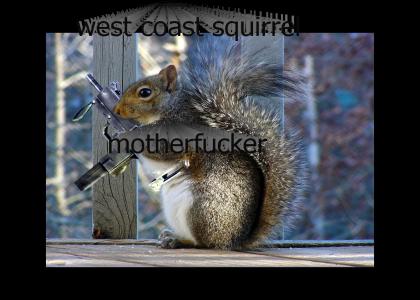 west coast squirrel