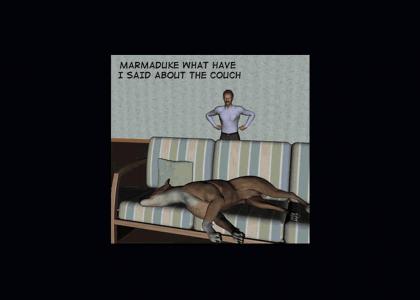 Marmaduke is a bad dog
