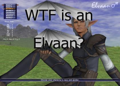 WTF is an Elvaan?