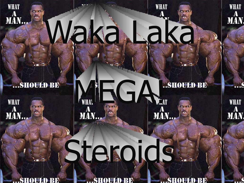WakaSteroids