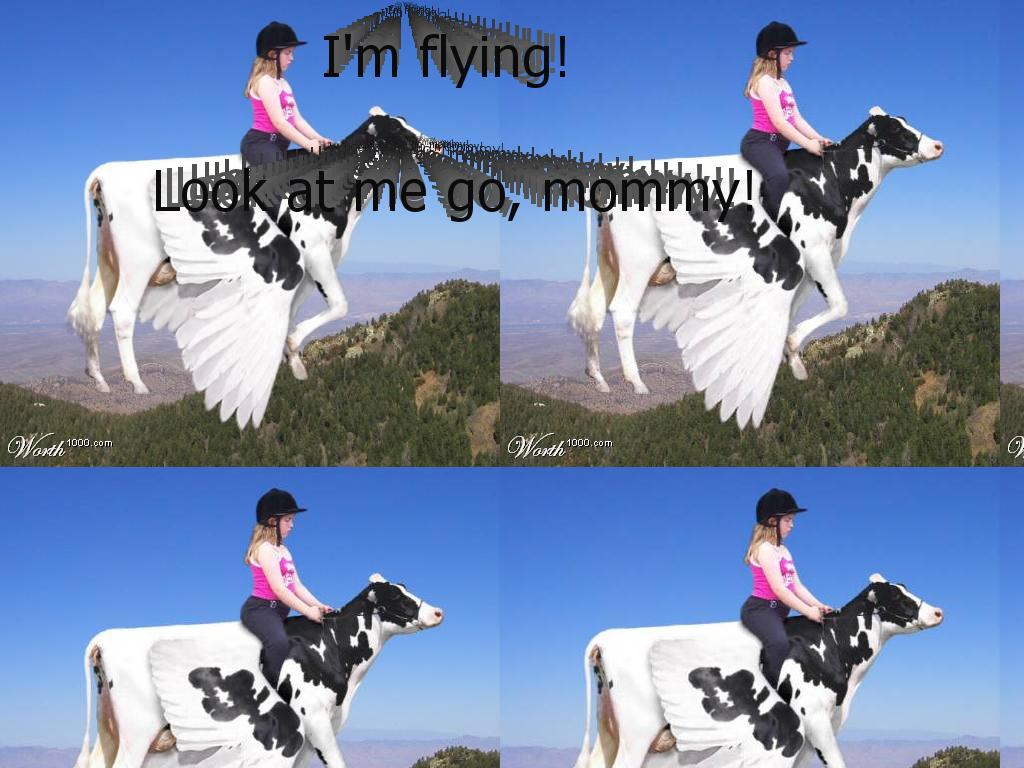 flycow