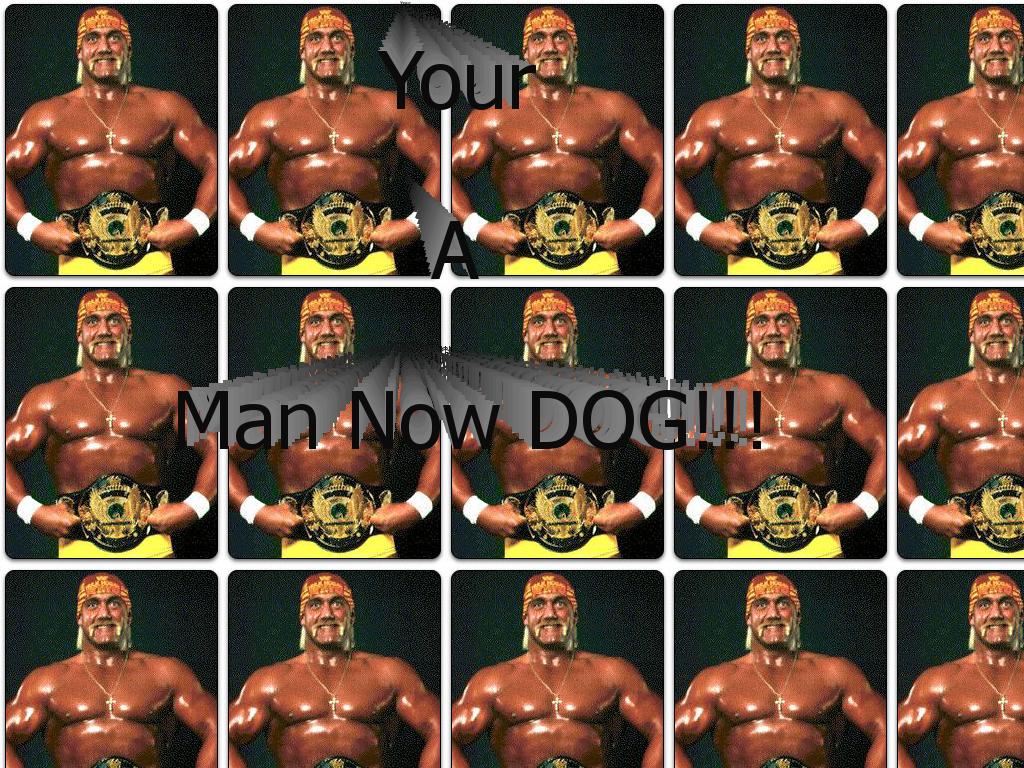 youramannowdogs