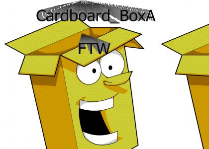 CardboardBoxA