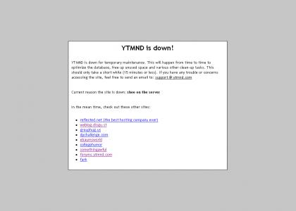 YTMND Crashed because...