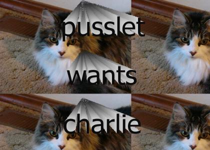 pusslet