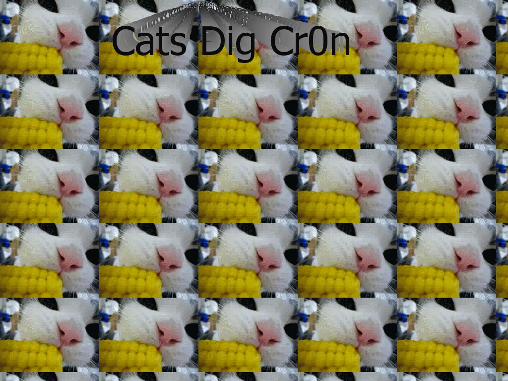 kittycorn