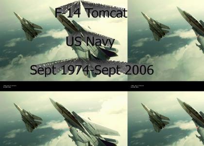 Tomcat Tribute (Revamped Pic)