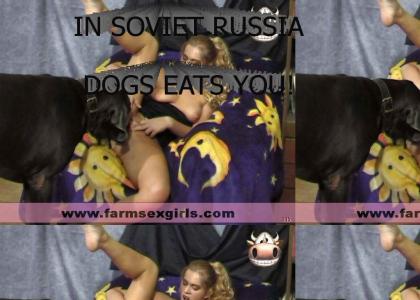 IN SOVIET RUSSIA DOGS EATS YOU