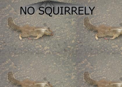 NO SQUIRRELY NO!