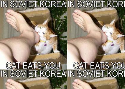 SOVIET CAT