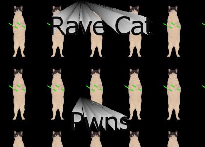 Rave Cat Dosent change facial expressions