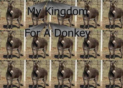 A Donkey