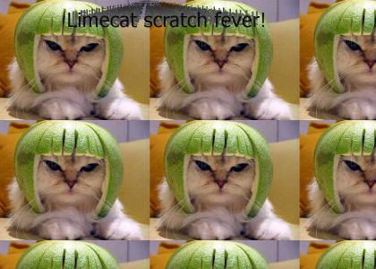 Limecat scratch fever
