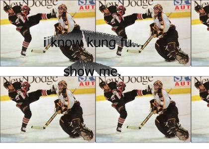 kung fu hockey