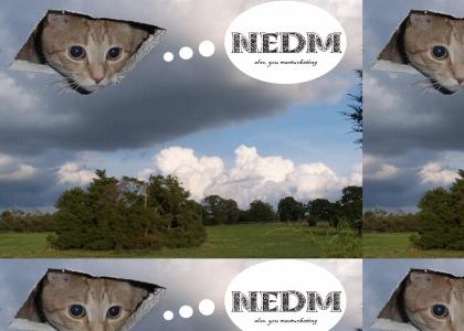 Even God loves NEDM