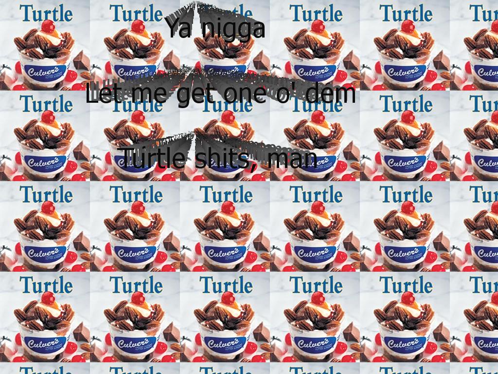 turtleshits