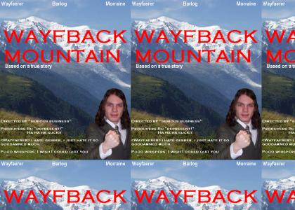 Wayfback Mountain: Based on a True Story